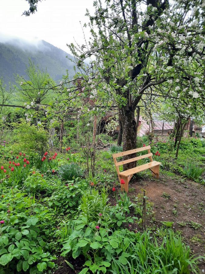 Guest House Bochora Borjomi ภายนอก รูปภาพ