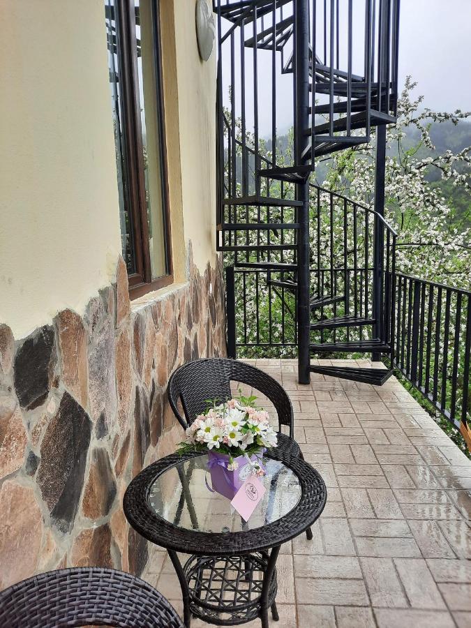 Guest House Bochora Borjomi ภายนอก รูปภาพ