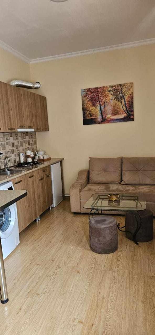 Guest House Bochora Borjomi ภายนอก รูปภาพ
